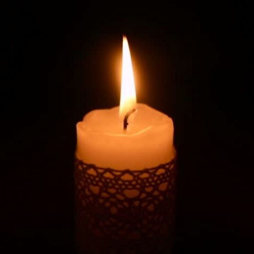 Meet your Posher, Abigail